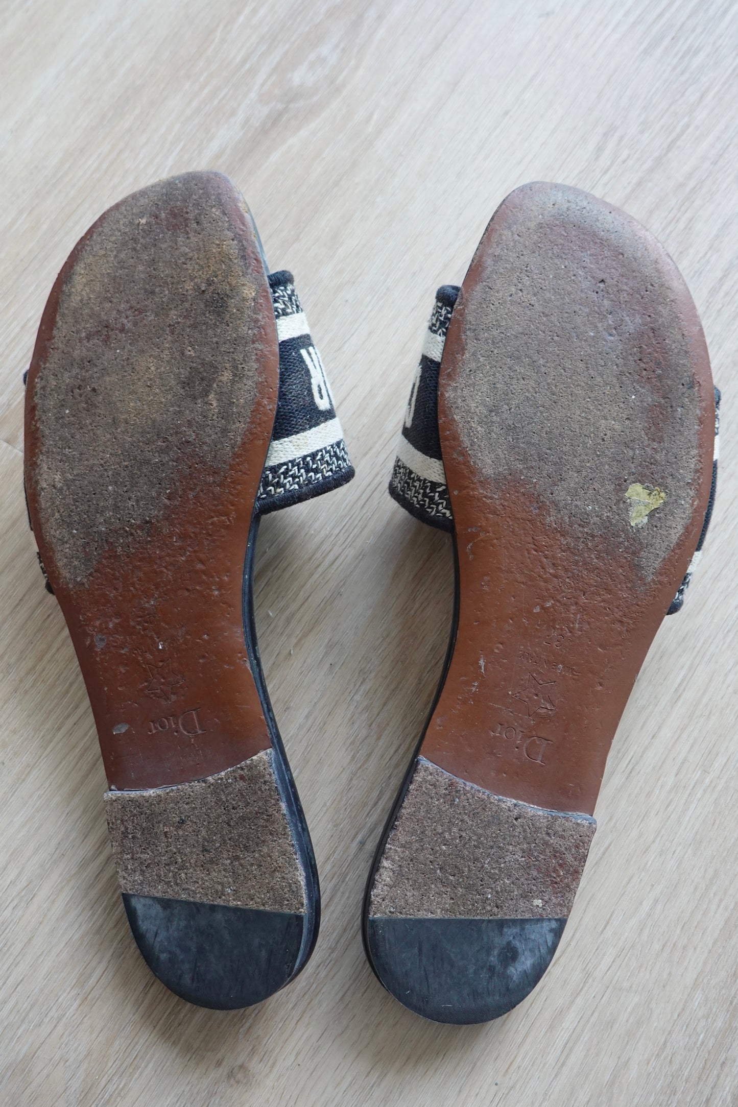 Christian Dior - Dway Slides