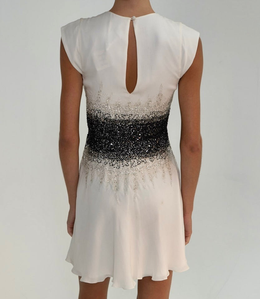 Haute Hippie Silk Embroidered Dress