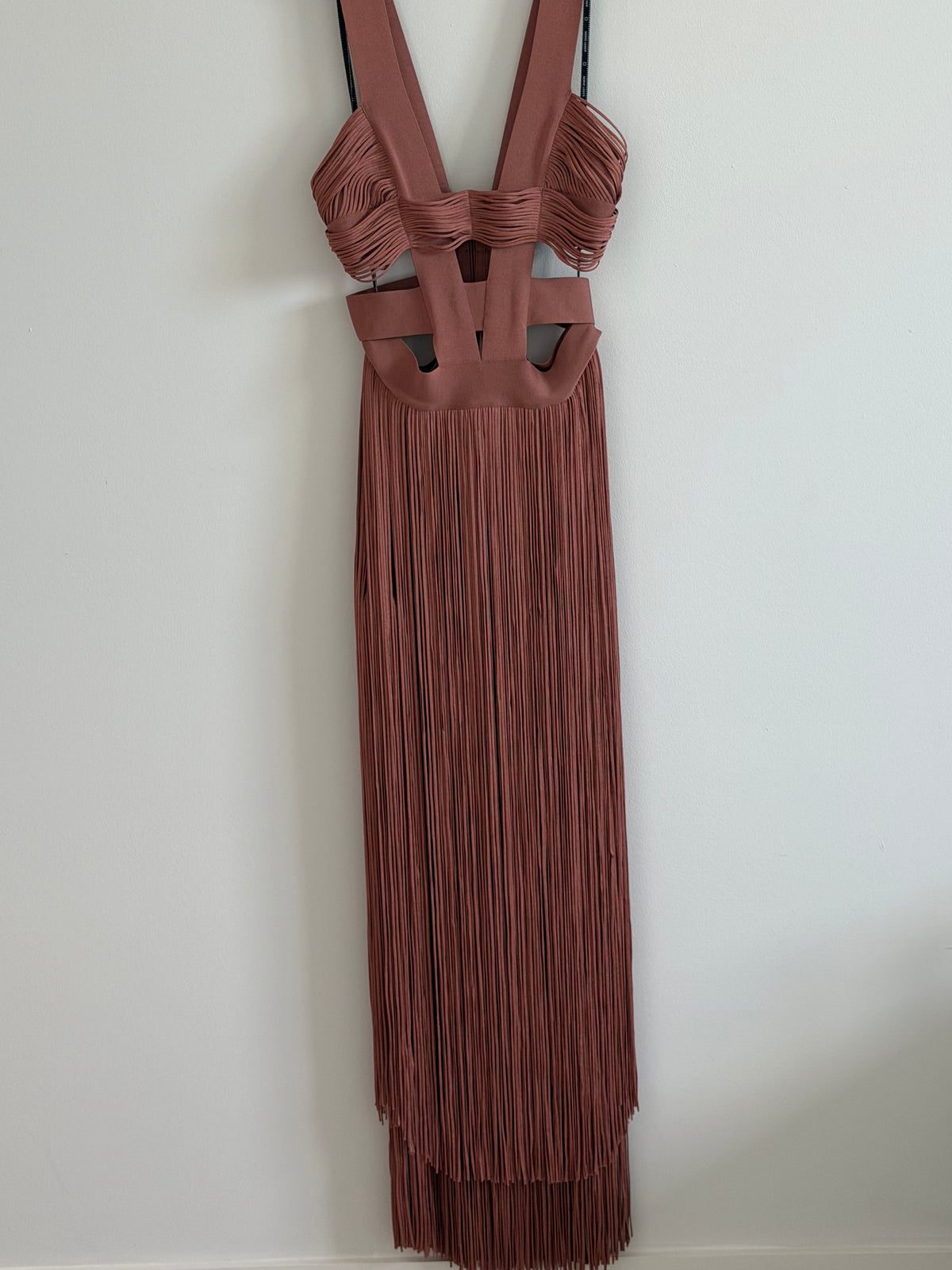 Herve Leger Rose Fringe Gown
