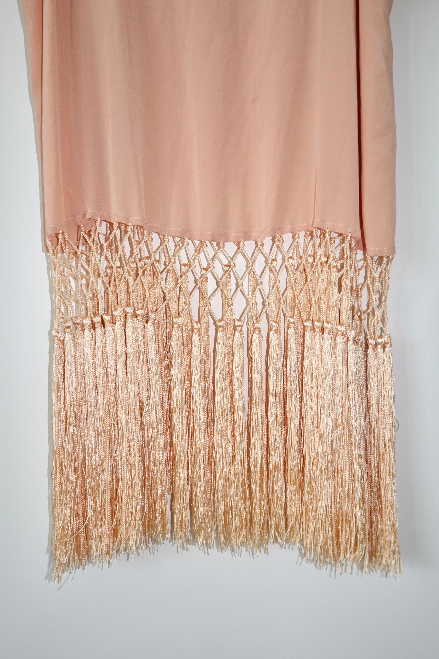 Haute Hippie - Silk & Fringe Top