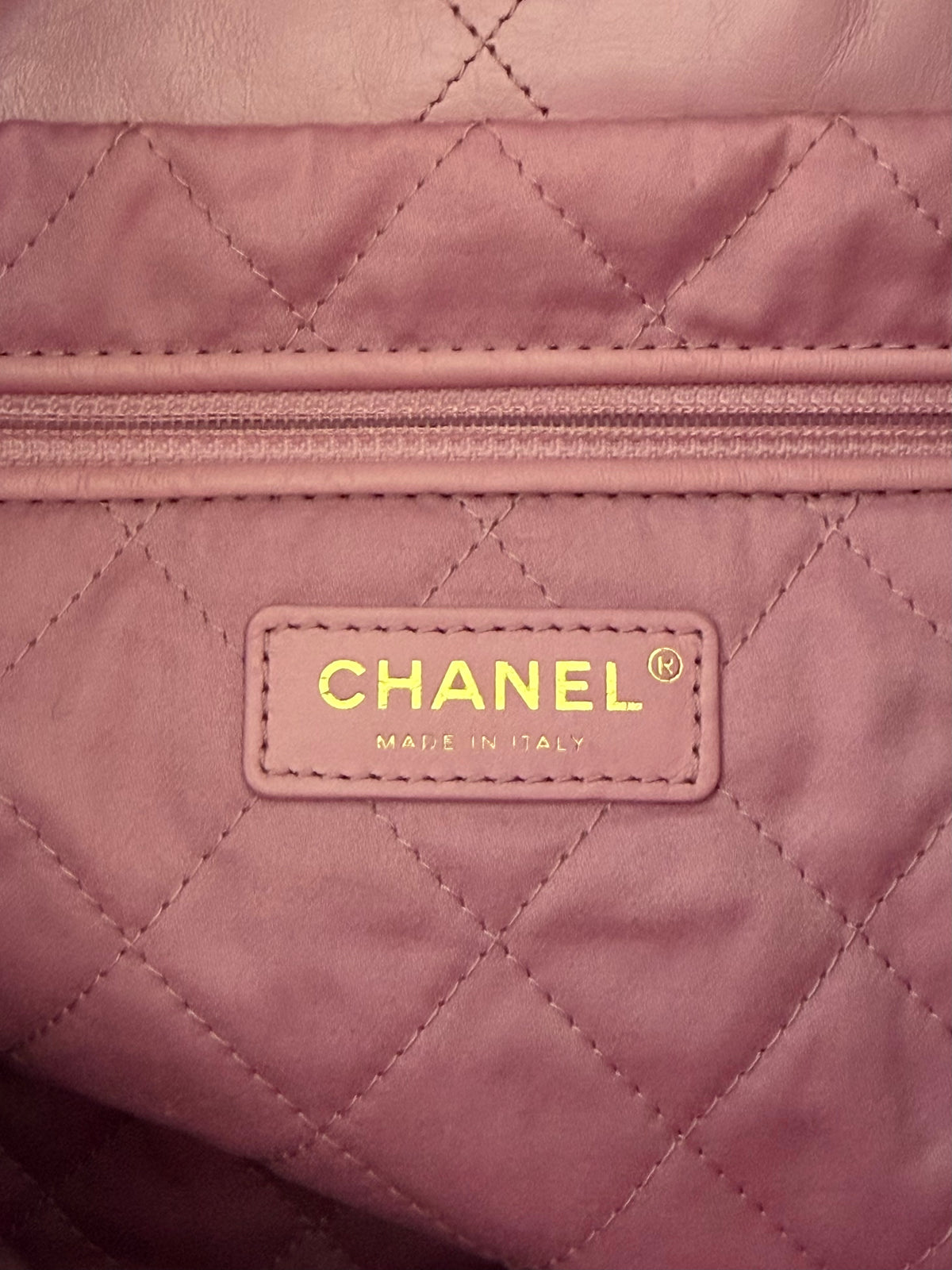 Chanel 22 in Bubblegum Pink