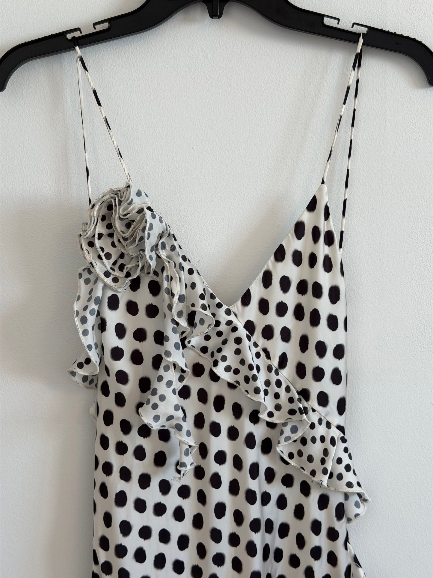Dalmatian Print Maxi