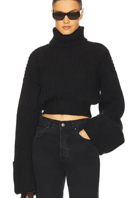 Helsa - Esti Turtleneck Sweater