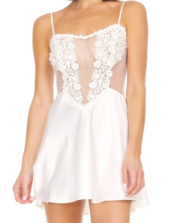 Flora Nikrooz - White Lace Slip & Robe